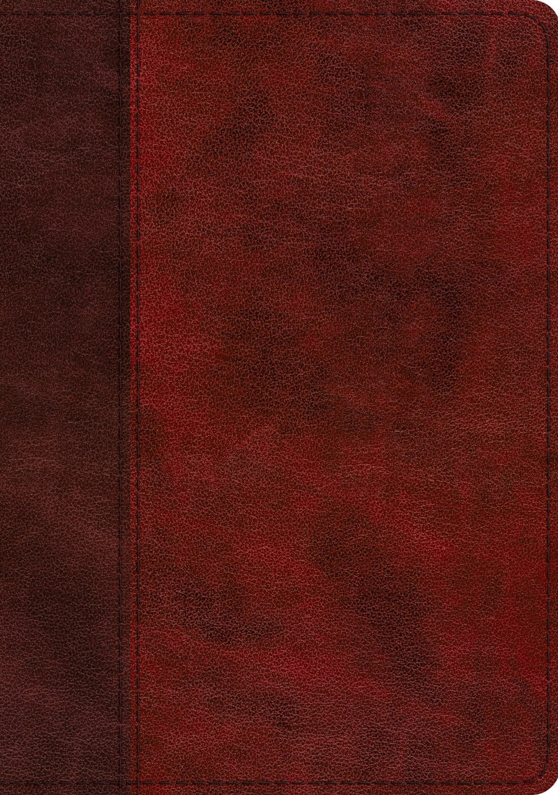 ESV Study Bible-Burgundy/Red Timeless Design Trutone  