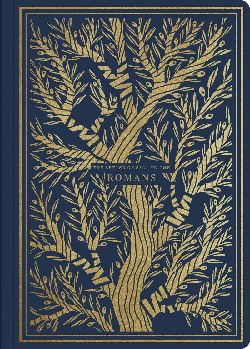 ESV Illuminated Scripture Journal: Romans-Blue Softcover