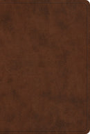 ESV New Testament-Brown/Walnut Portfolio Design TruTone