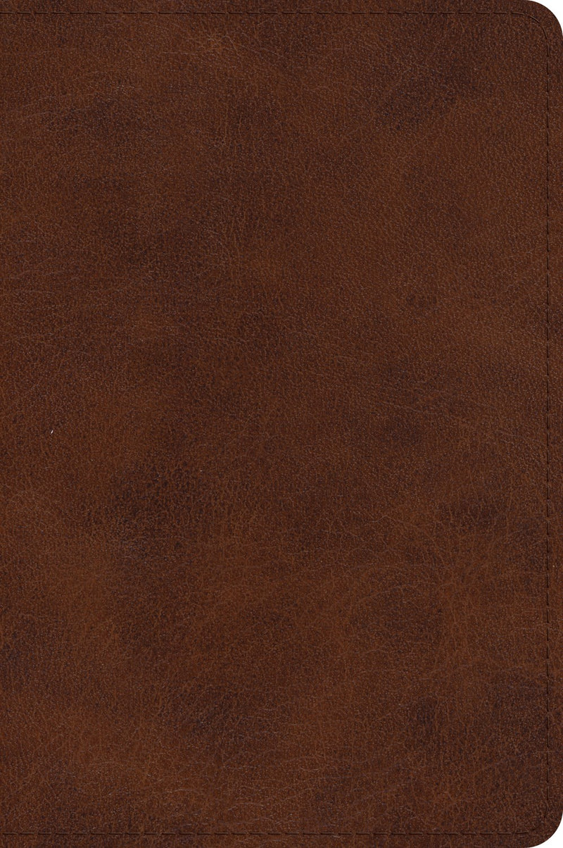 ESV Large Print Bible-Deep Brown TruTone