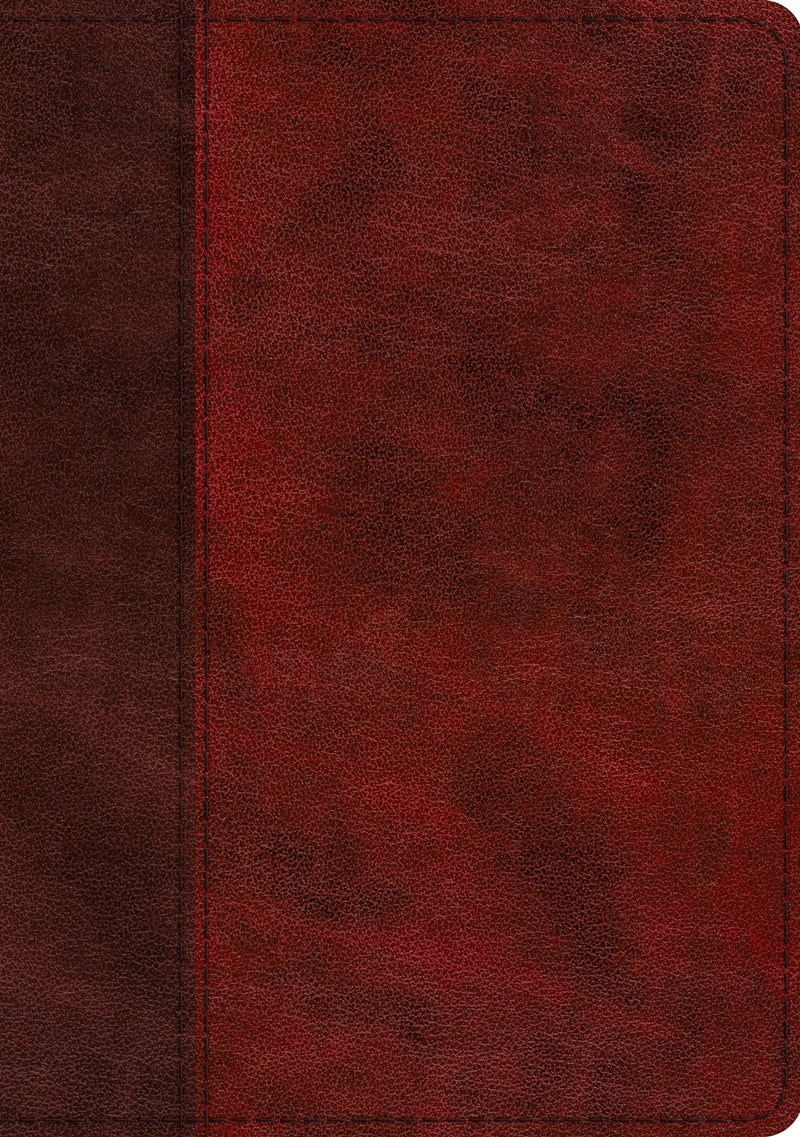 ESV Single Column Journaling Bible/Large Print-Burgundy/Red Timeless Design-TruTone