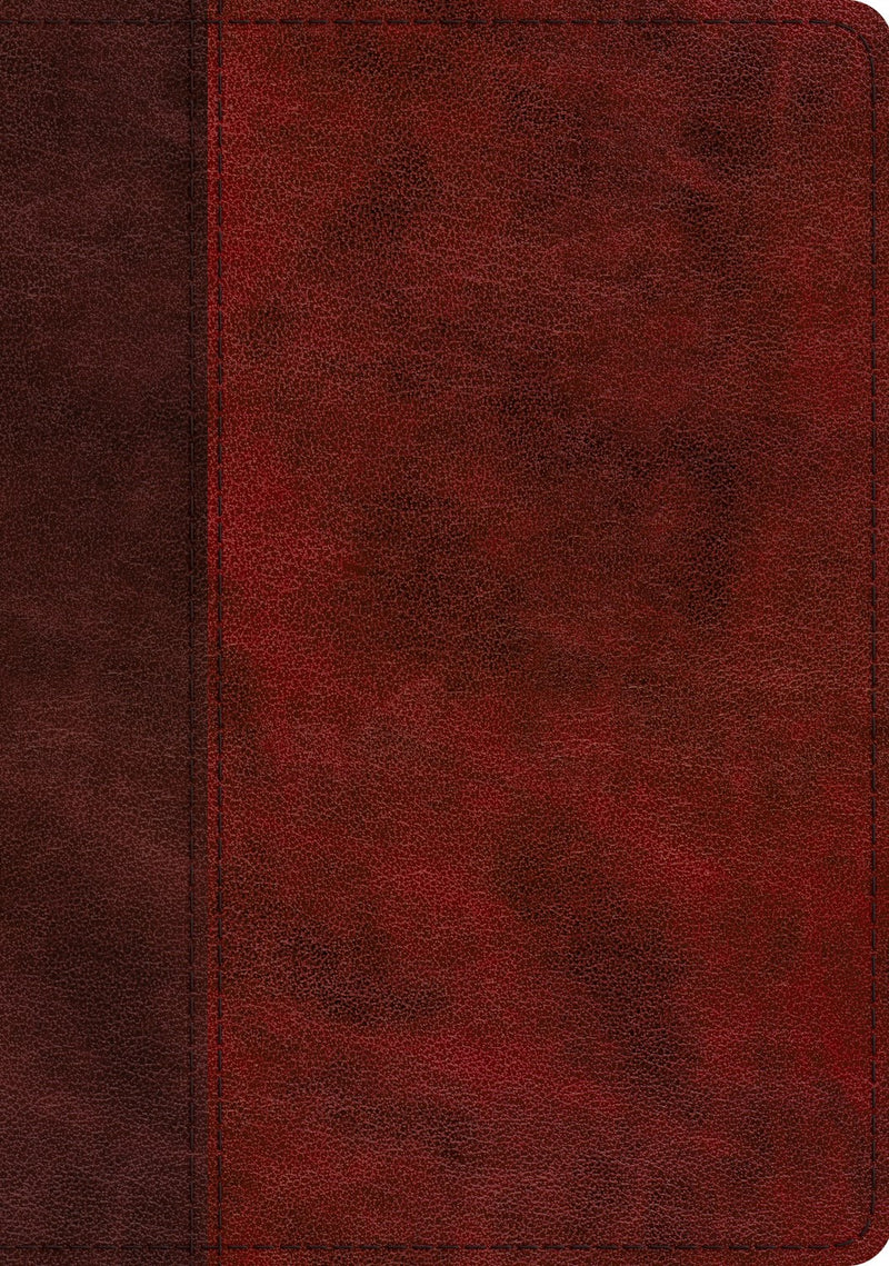 ESV Study Bible-Burgundy/Red  Timeless Design TruTone Indexed