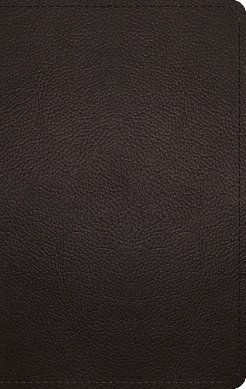 ESV Large Print Personal Size Bible-Deep Brown Buffalo Leather