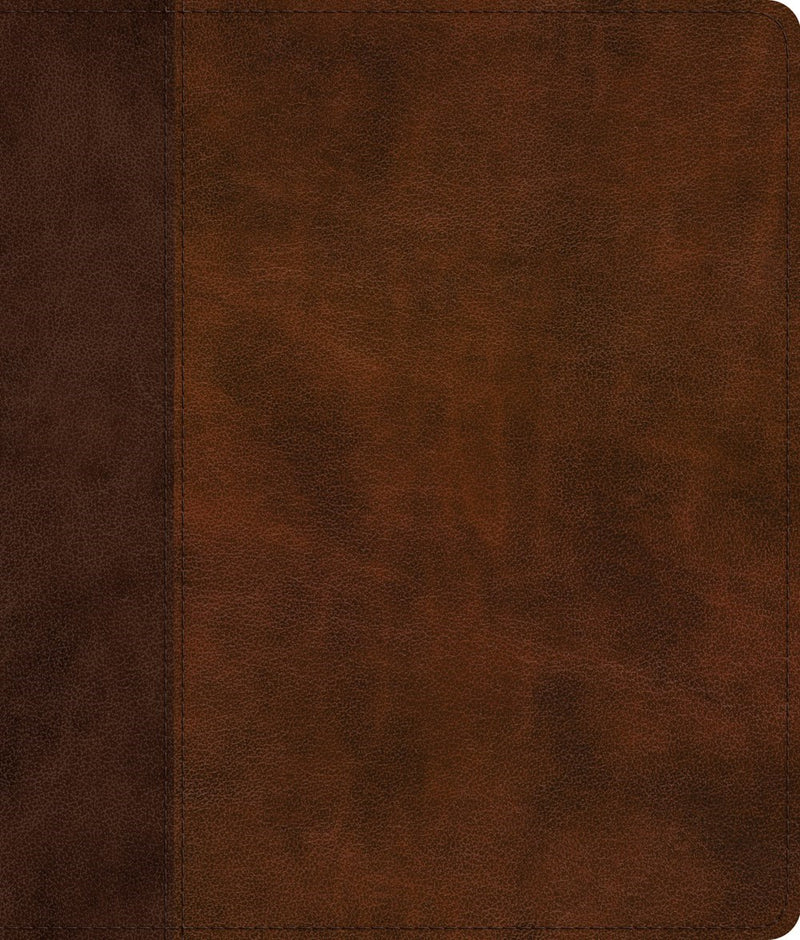 ESV Journaling Bible-Brown/Tan  Timeless Design TruTone