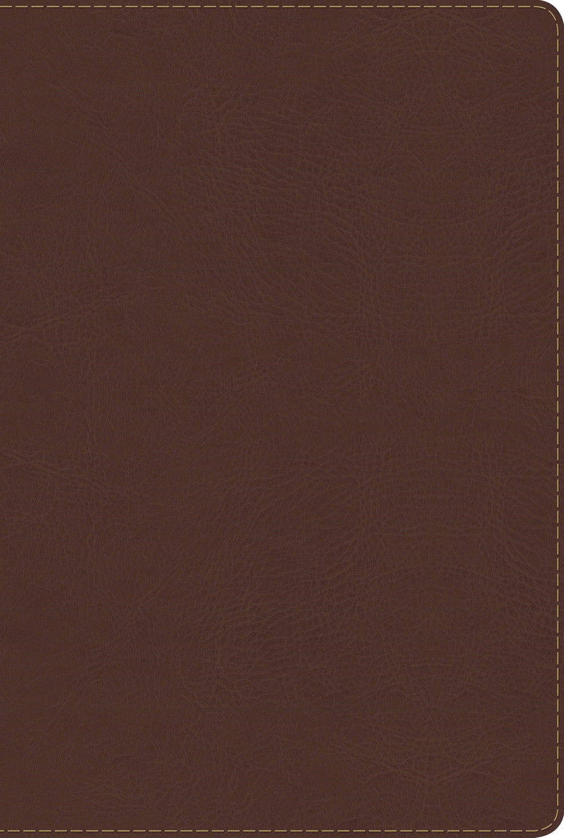 Span-RVR 1960 Rainbow Study Bible (Biblia de Estudio Acro Iris)-Brown LeatherTouch Indexed 