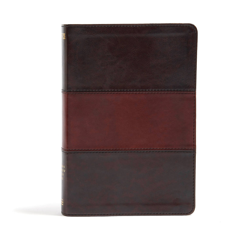 NIV Holman Rainbow Study Bible-Saddle Brown Leathertouch