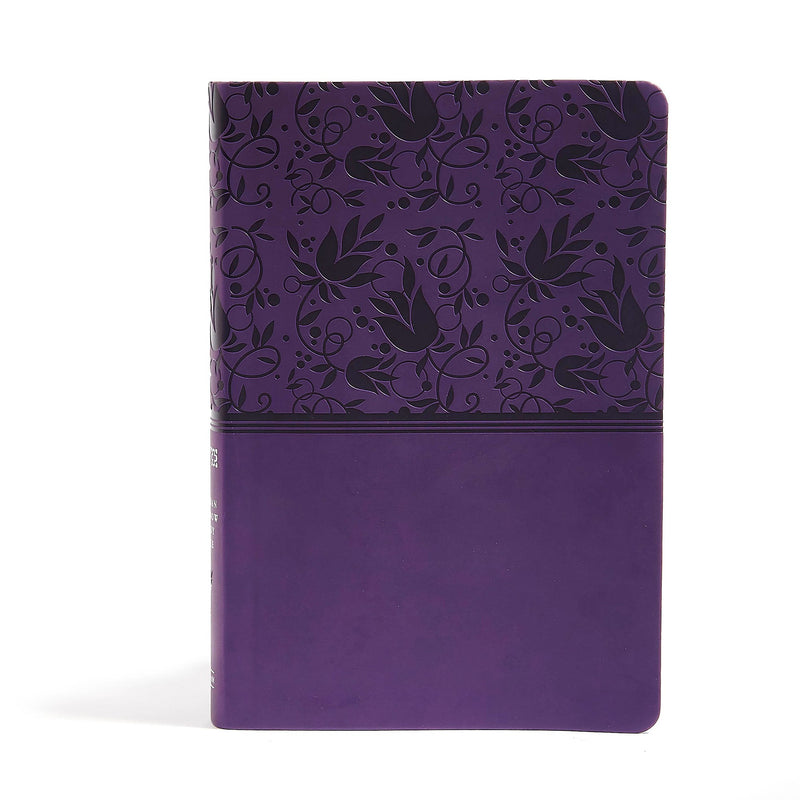 NIV Holman Rainbow Study Bible-Purple Leathertouch Indexed