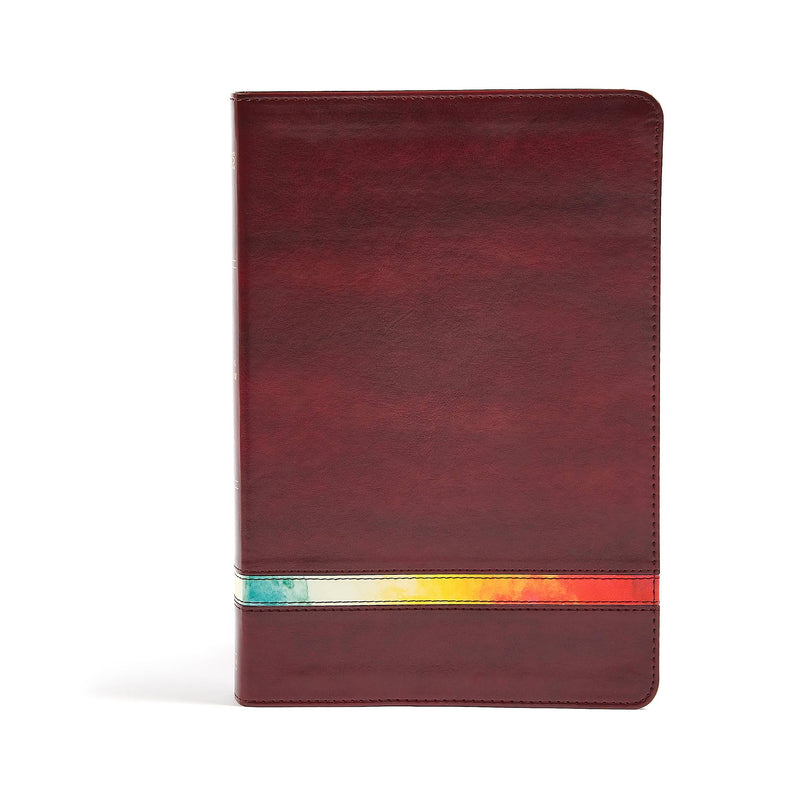 NIV Holman Rainbow Study Bible-Maroon Leathertouch