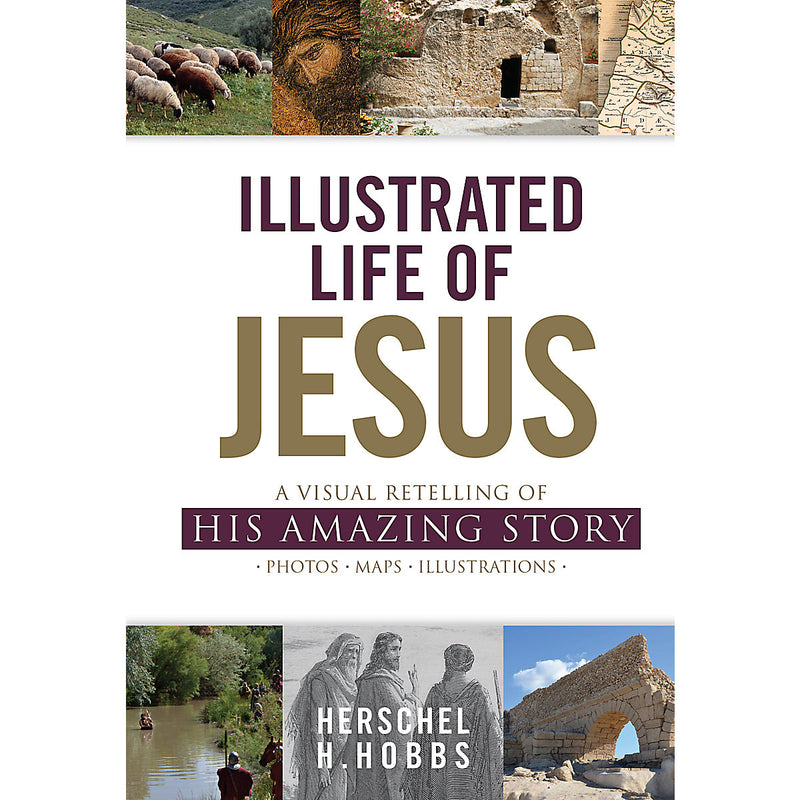 Illustrated life of Jesus