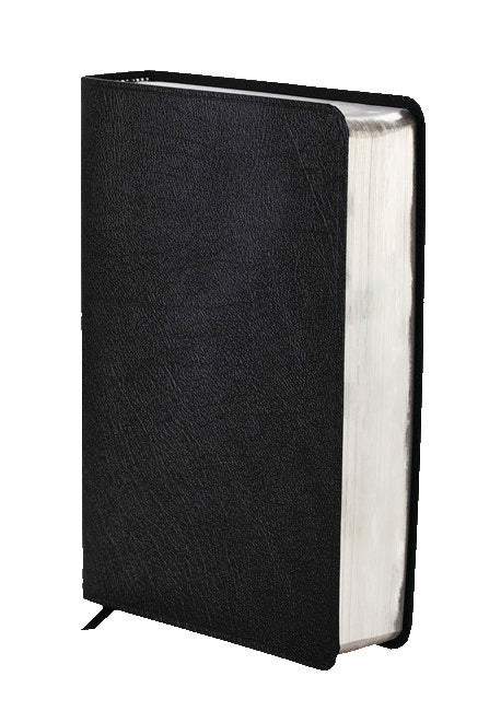 NIV Zondervan Study Bible