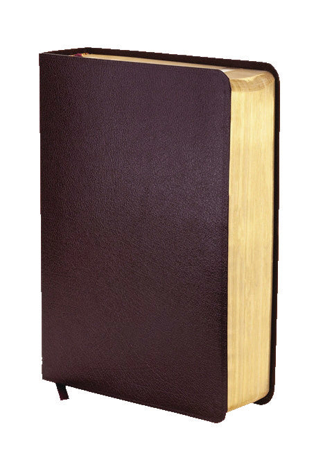 NIV Zondervan Study Bible