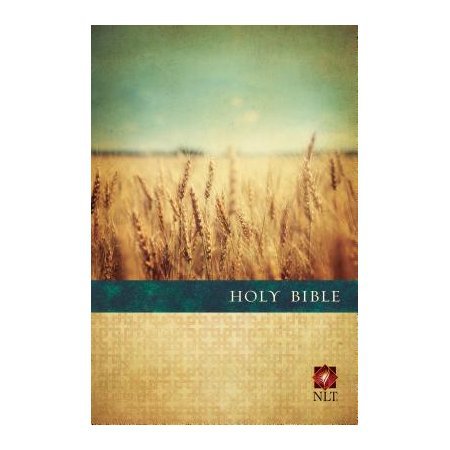 Slimline Bible - Large Print - Colour