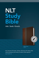 NLT Study Bible-Brown/Slate TuTone Indexed