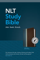 NLT Study Bible-Twilight Blue/Brown TuTone Indexed