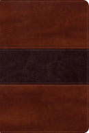 Span-RVR 1960 Fisher Of Men Bible (Biblia del Pescador)-Mahogany LeatherTouch