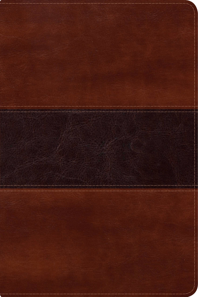 Span-RVR 1960 Fisher Of Men Bible (Biblia del Pescador)-Mahogany LeatherTouch