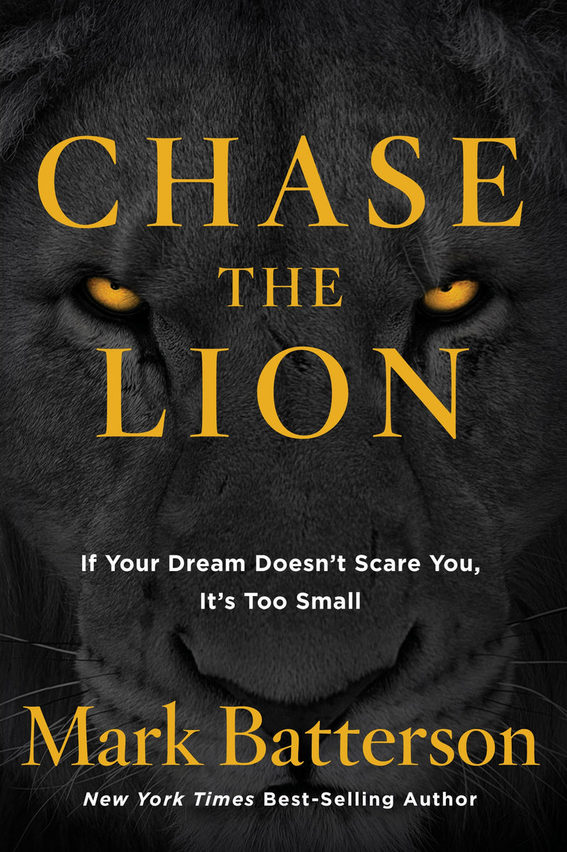 Chase The Lion