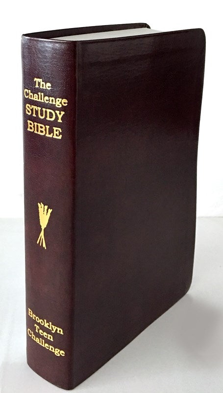 CEV Challenge Study Bible-Flexi Cover (New)