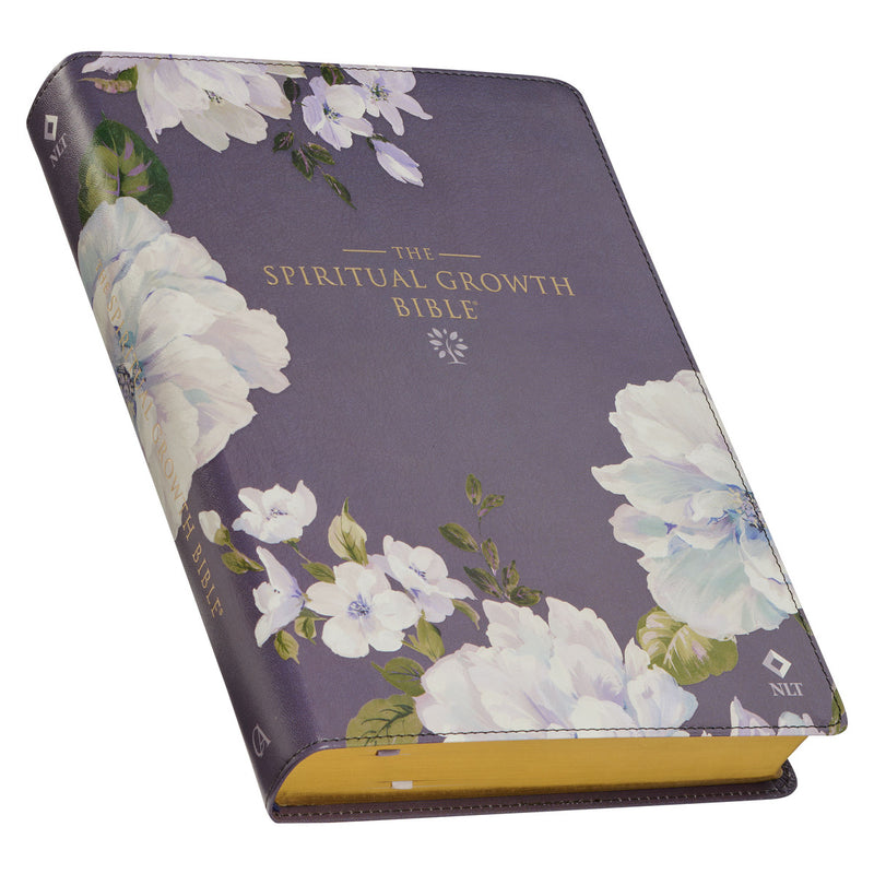 Spiritual Growth Bible Slate-colored