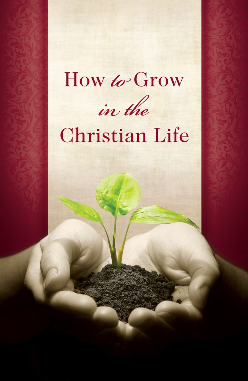 Tract-How To Grow In The Christian Life (KJV) (Pack of 25)