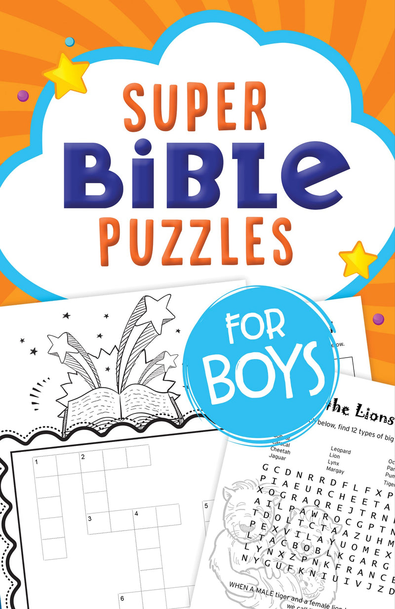 Super Bible Puzzles For Boys