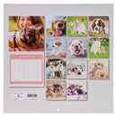 2022 Een vriend houdt altijd van je Ps17:17