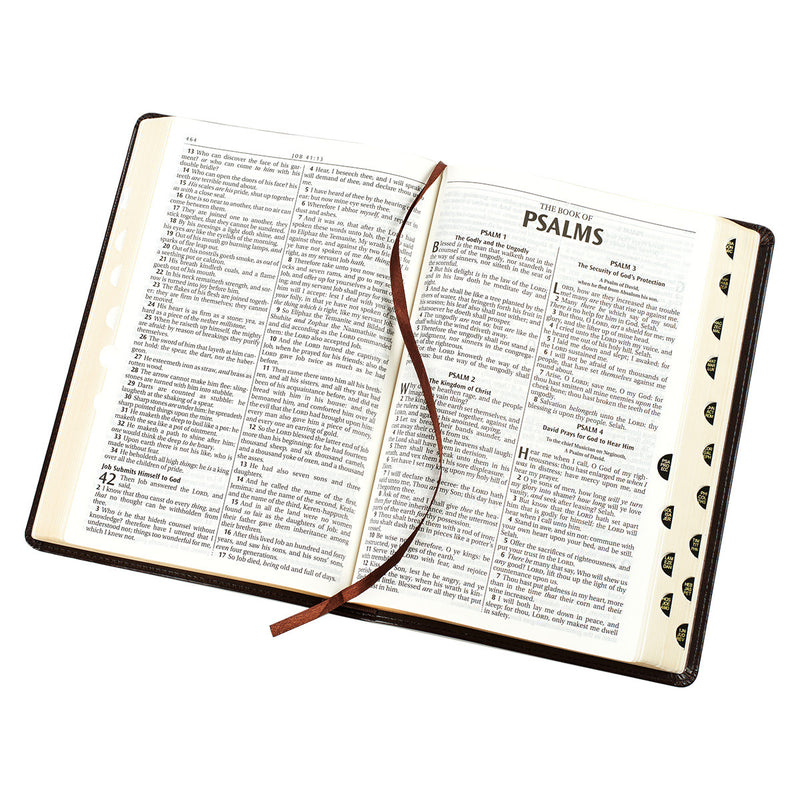 Large Print Thinline Bible - Brown