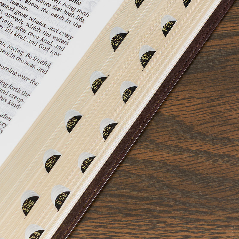 Large Print Thinline Bible - Brown