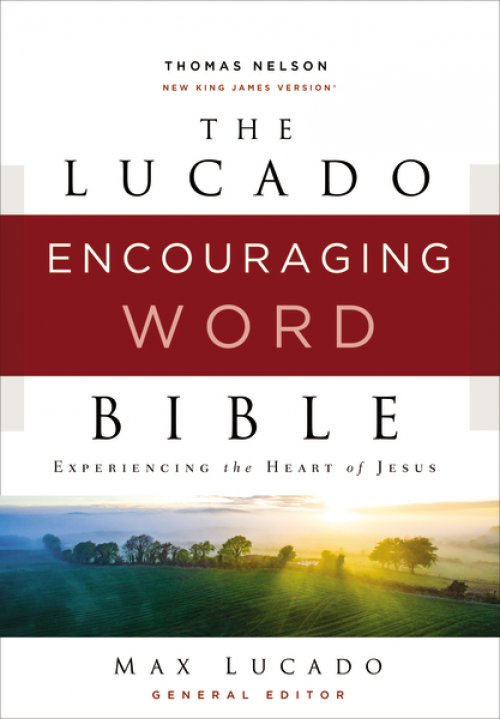 Lucado Encouraging Word Bible, Gray